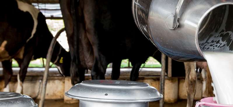 © Japy Tech © Japy Tech