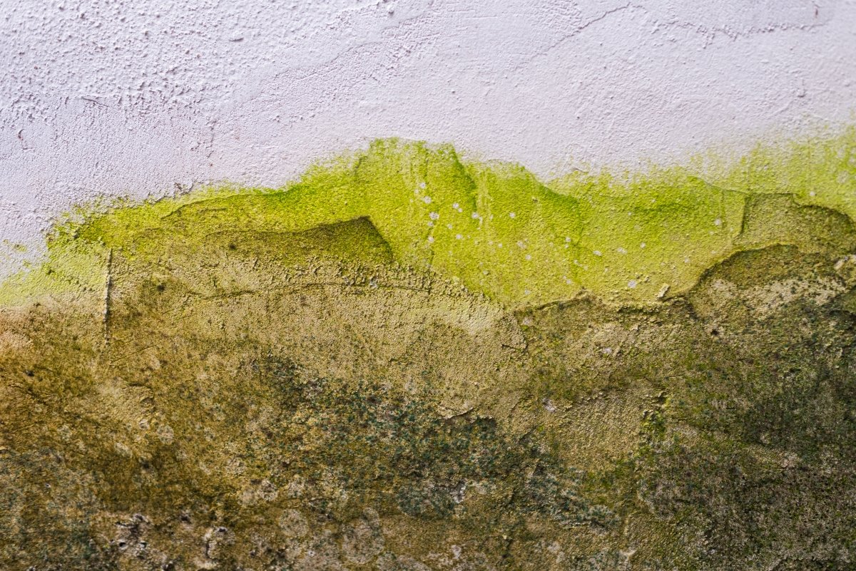 © Image de Mateus Andre sur Freepik 