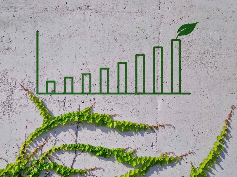 © Adobe Photo Stock © Adobe Photo Stock