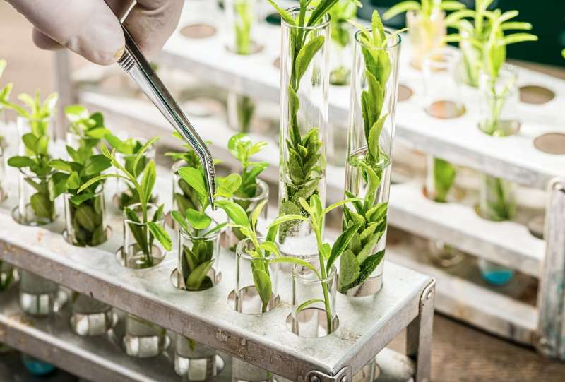 © Adobe Stock © Adobe Stock