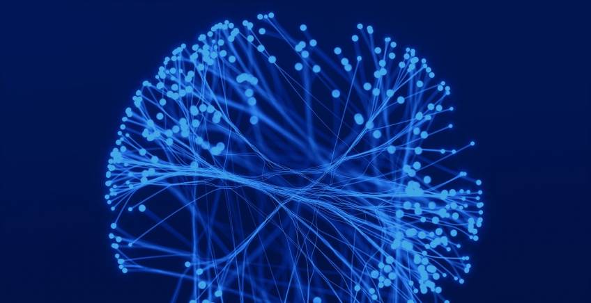 © Home Biosciences © Home Biosciences