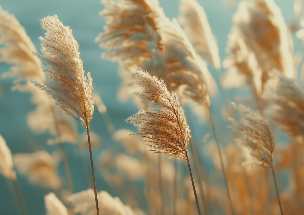 © Adobe Stock © Adobe Stock