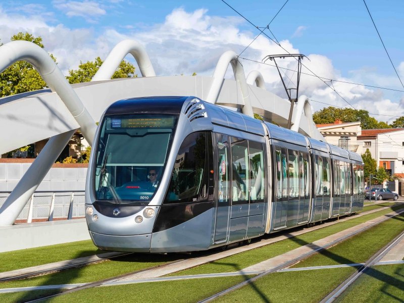 © Adobe Photo Stock