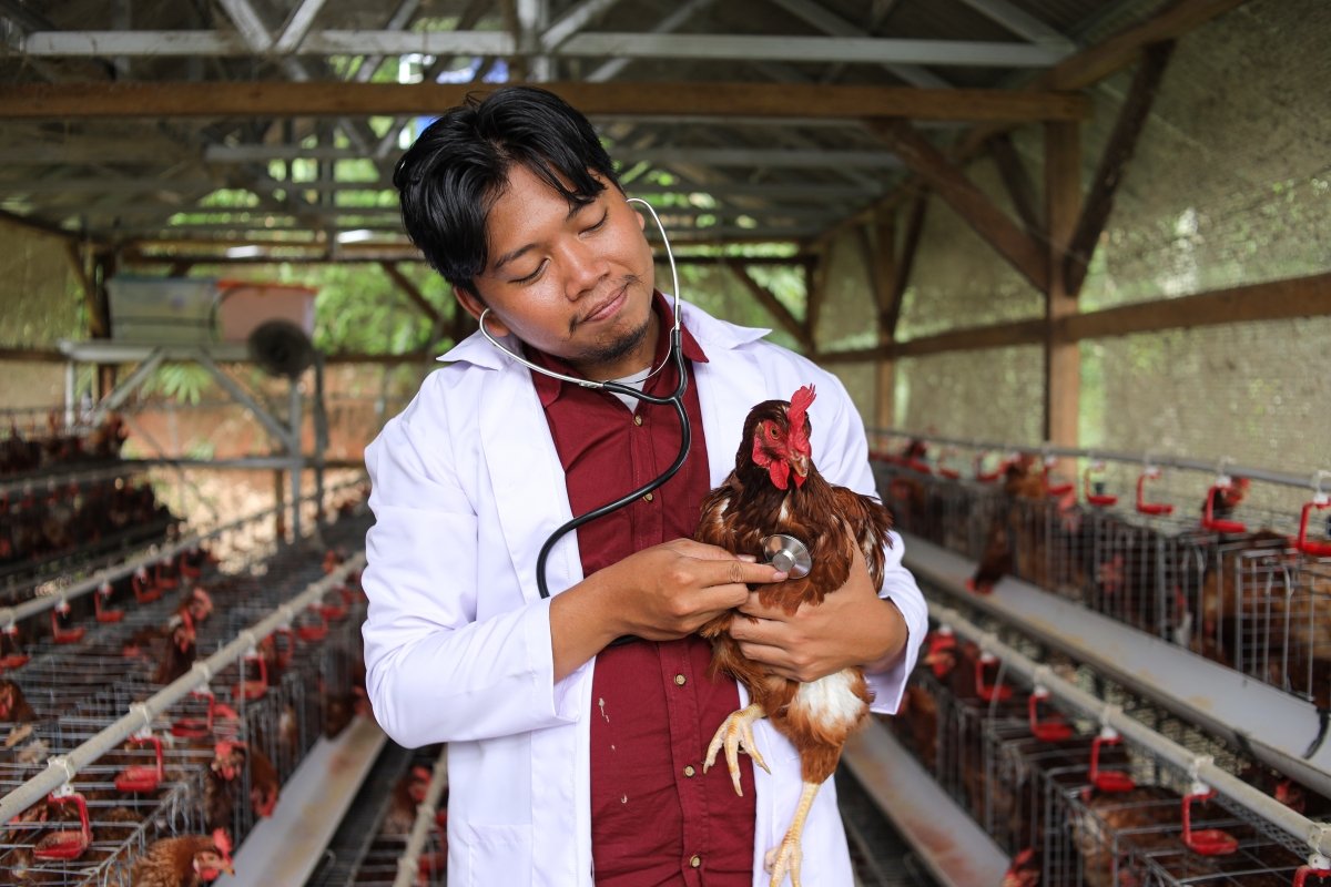 ©Adobe Stock ©Adobe Stock