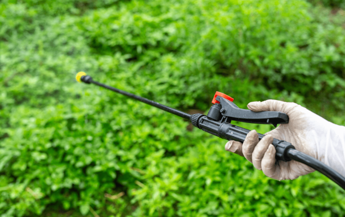 © Freepik © Freepik