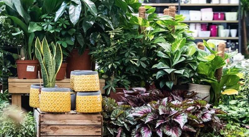 © Invivo Retail © Invivo Retail