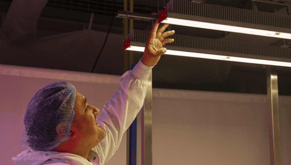 © Red Horticulture © Red Horticulture