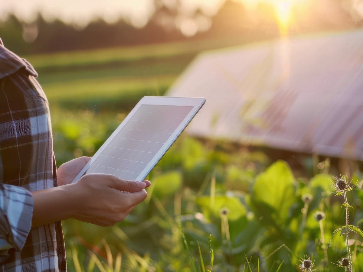 © Adobe Photo Stock