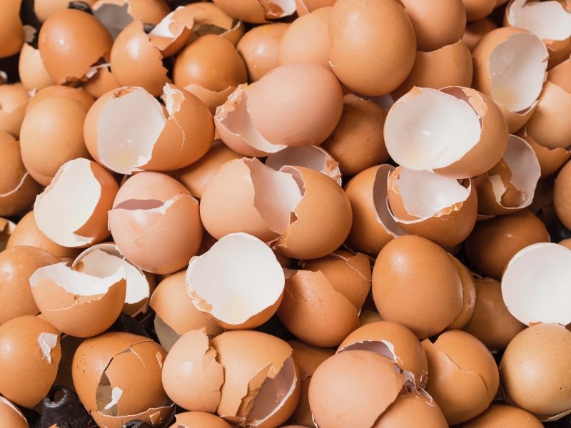 © Adobe Photo Stock