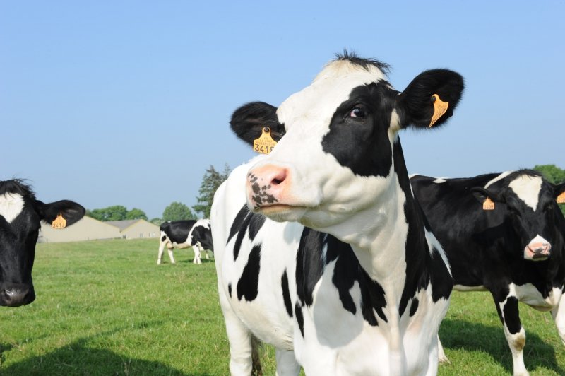 ©Yes Sinergy ©Yes Sinergy