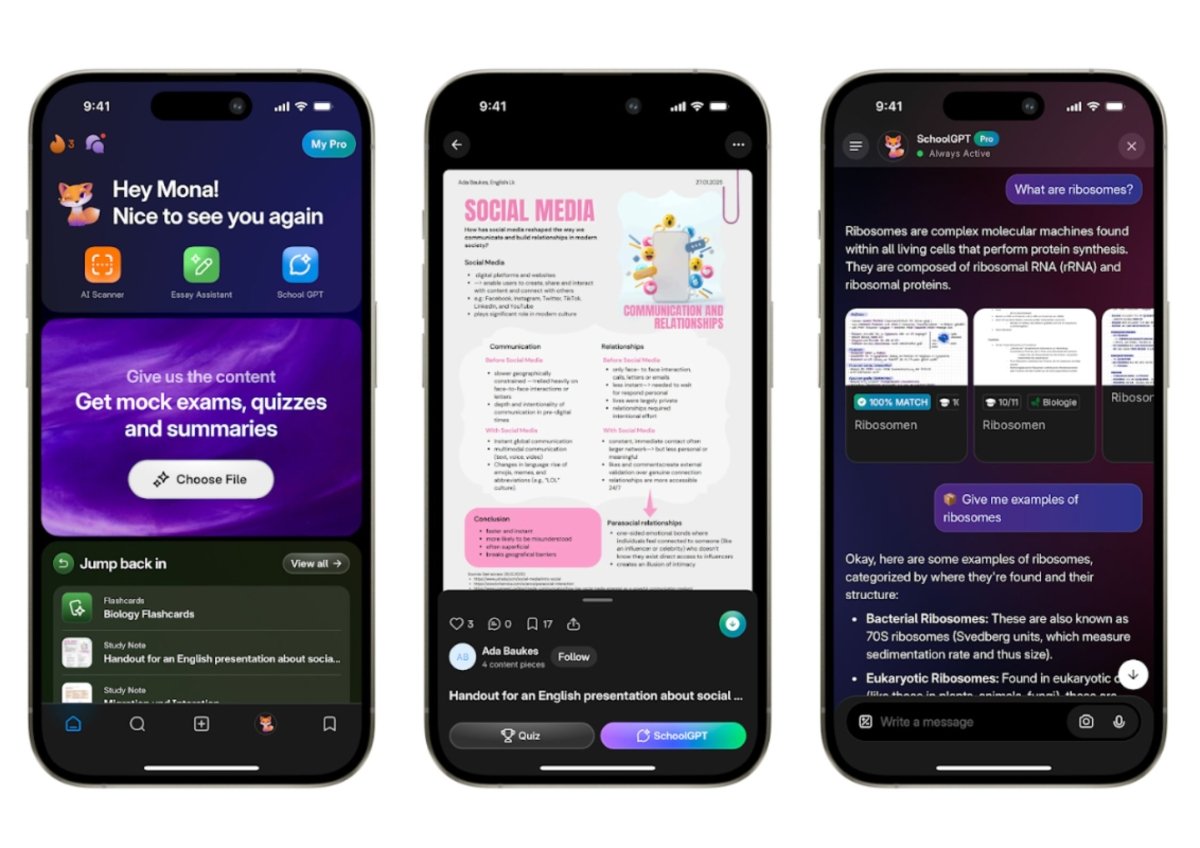 ©Knowunity ©Knowunity