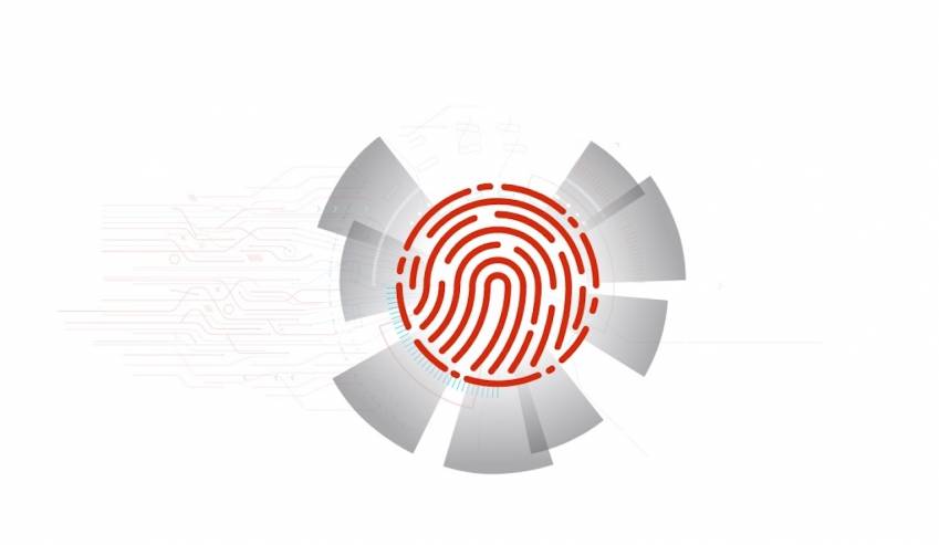 © Ilex International