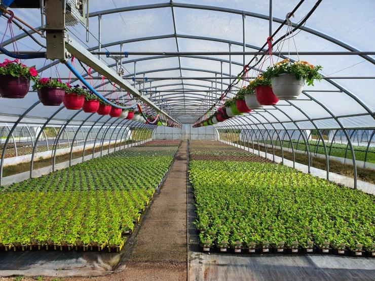 © Floronalp © Floronalp