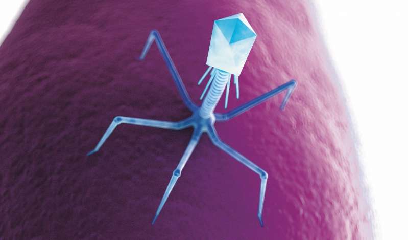 © Pherecydes Pharma © Pherecydes Pharma