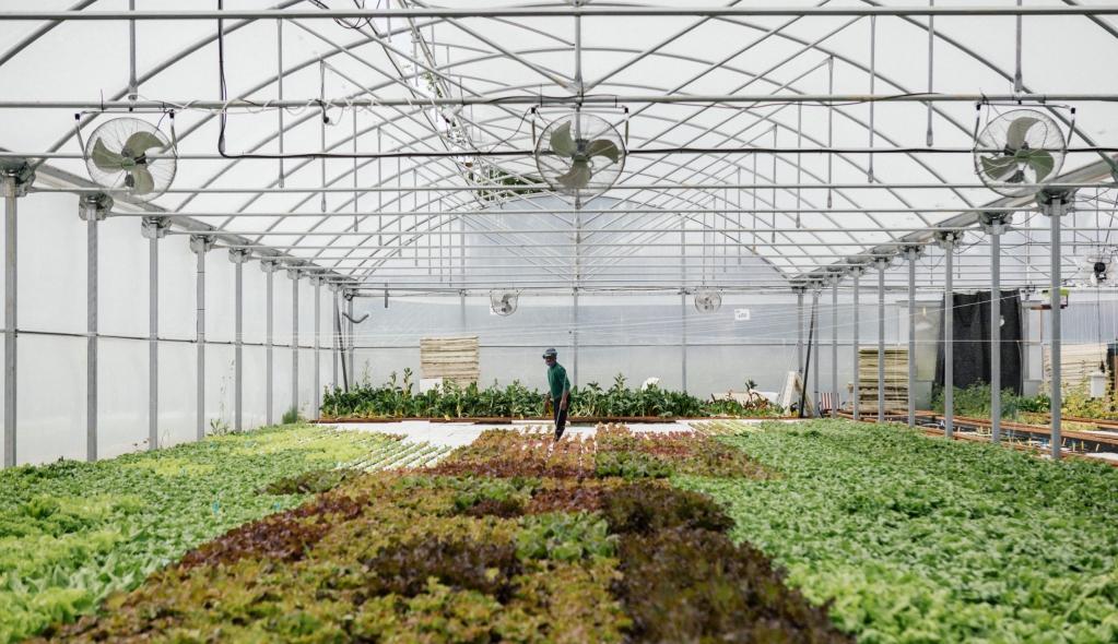 Pauline Air Farm © Les Nouvelles Fermes