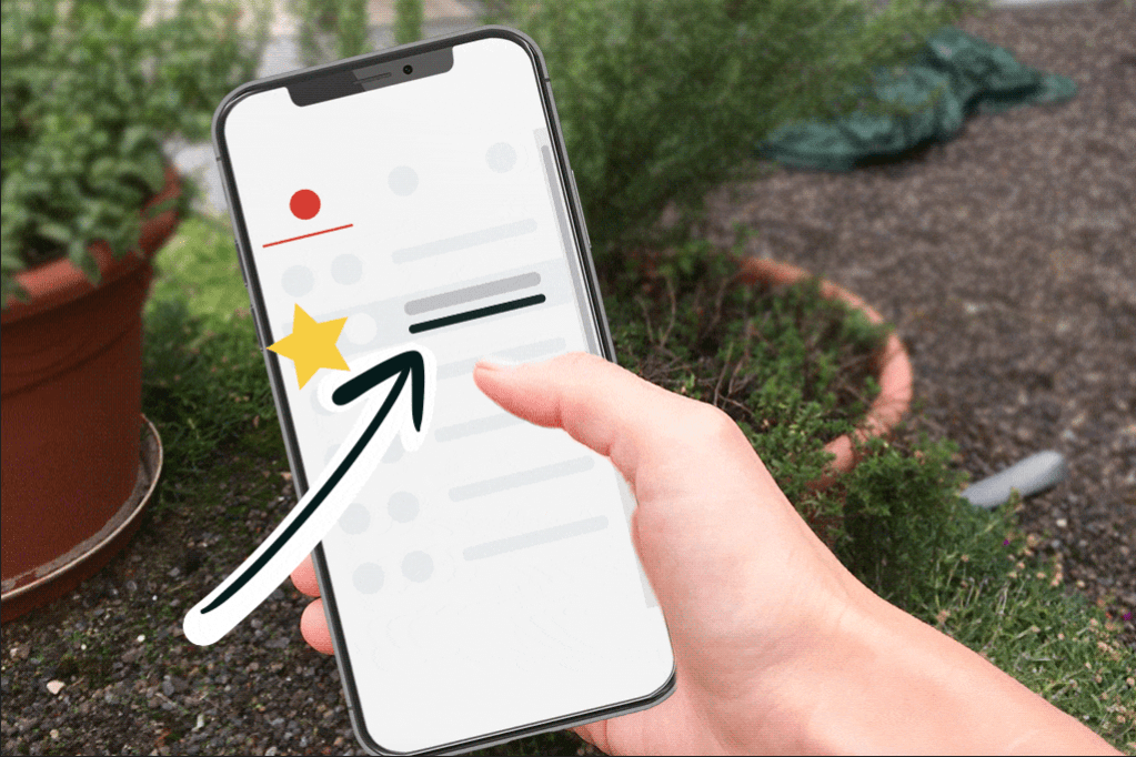 © Rapidmail © Rapidmail