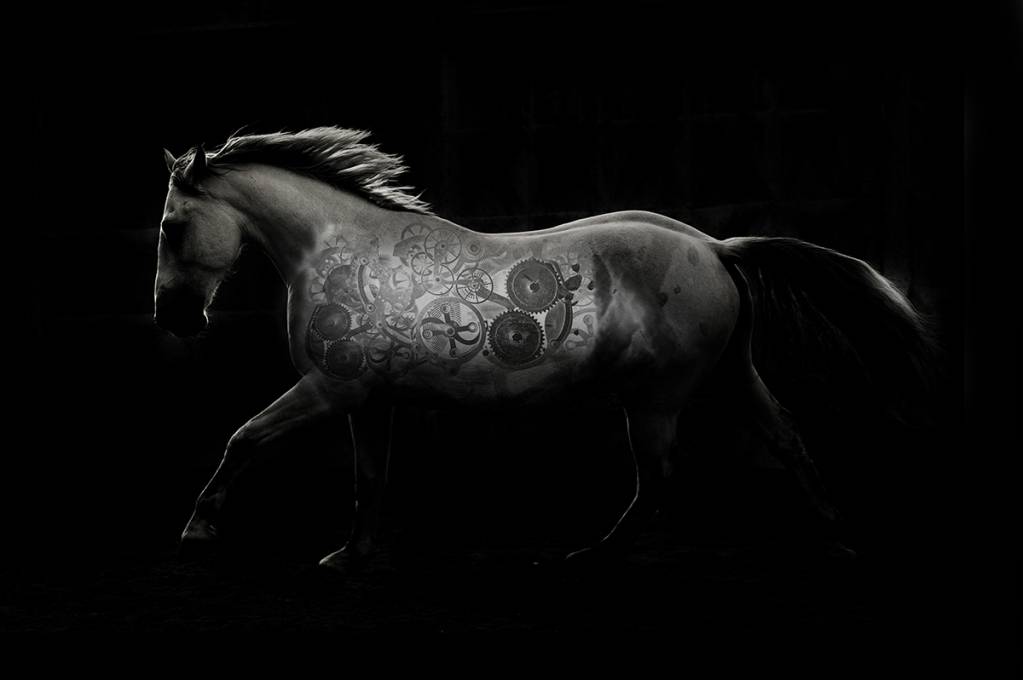 Global Stem cell Technology (GST) Global Stem cell Technology (GST)