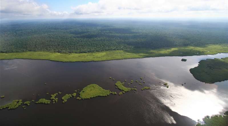 © TotalEnergies / La Compagnie des Bois du Gabon