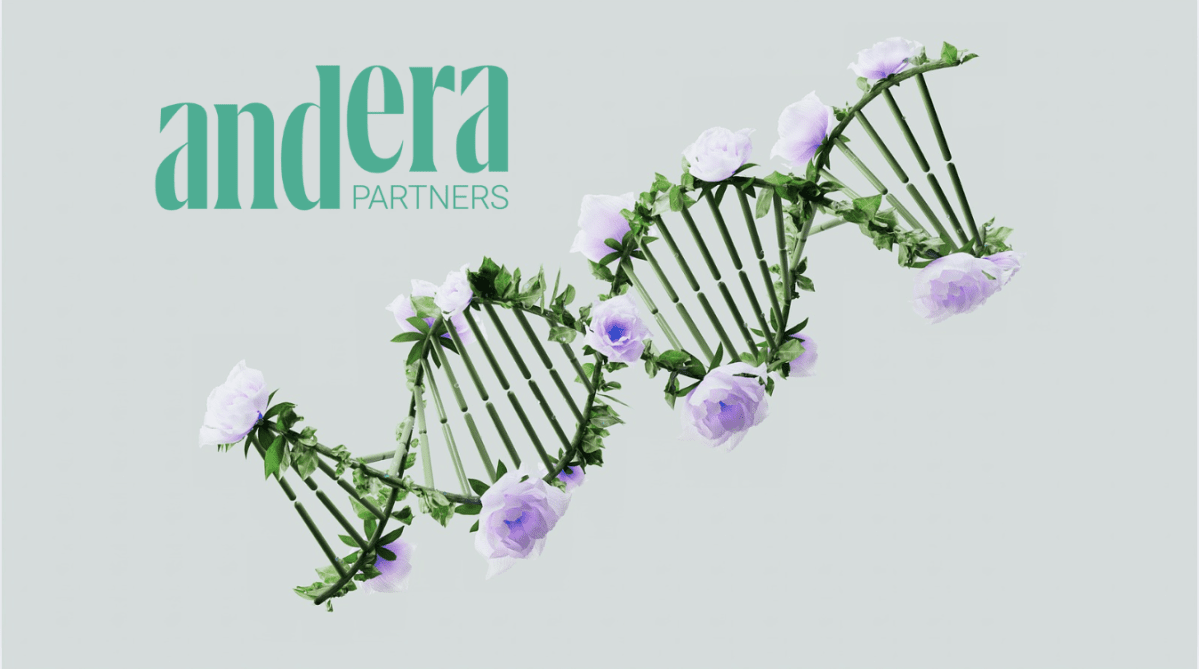 ©Pexels, ©Andera Partners