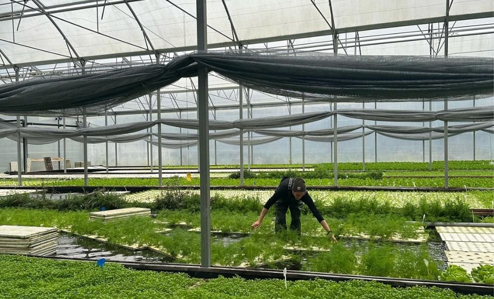 © Les Nouvelles Fermes