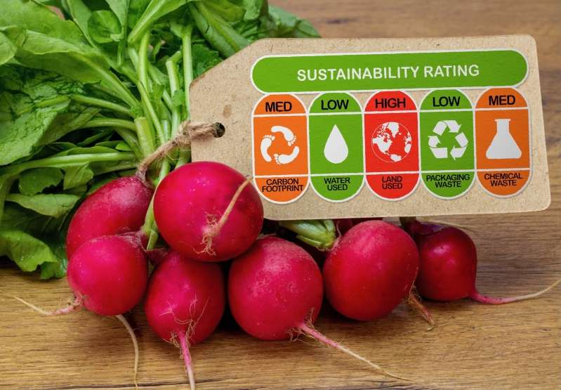 © Adobe Photo Stock