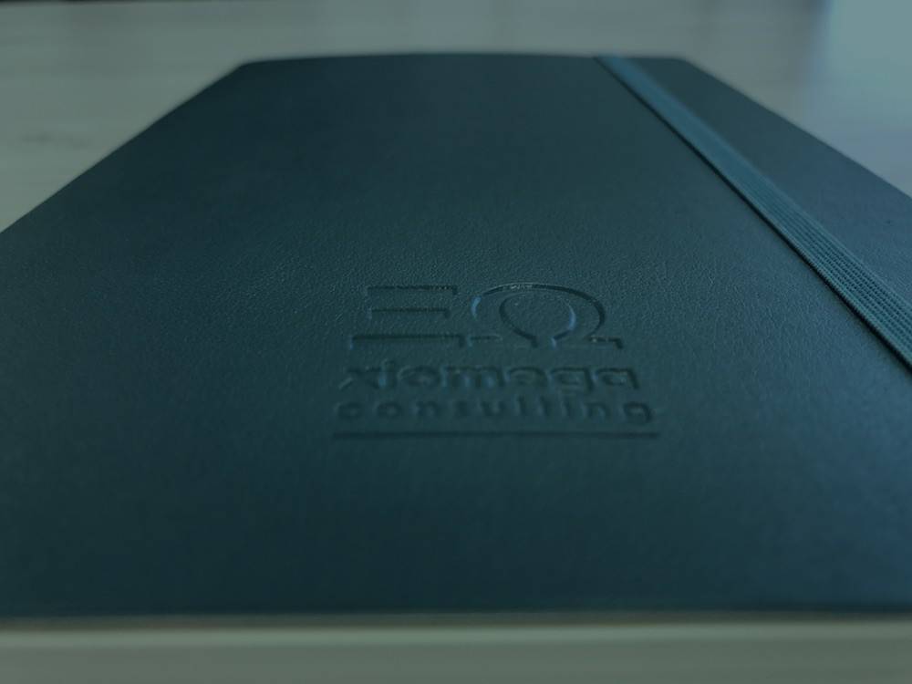 © Xiomega Consulting