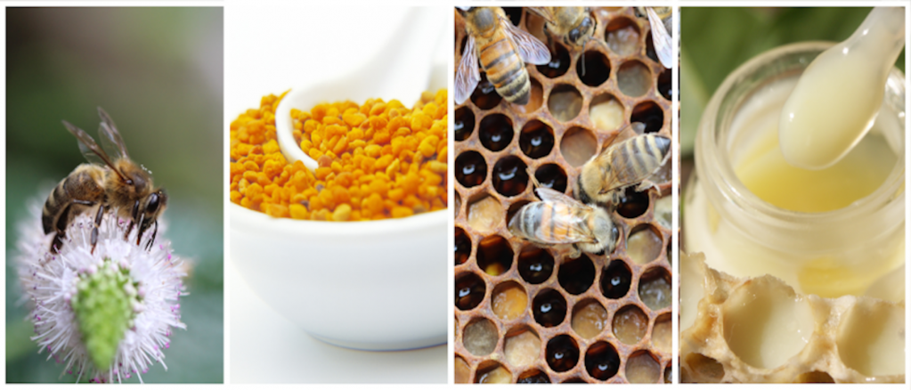 © Pollenergie © Pollenergie