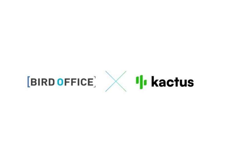 © Birdoffice X Kactus