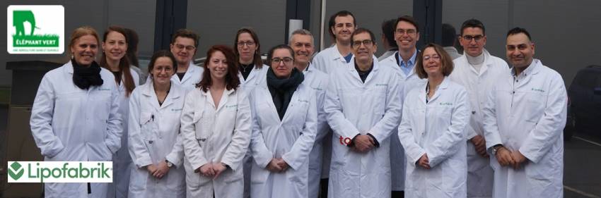 © Eléphant Vert © Eléphant Vert