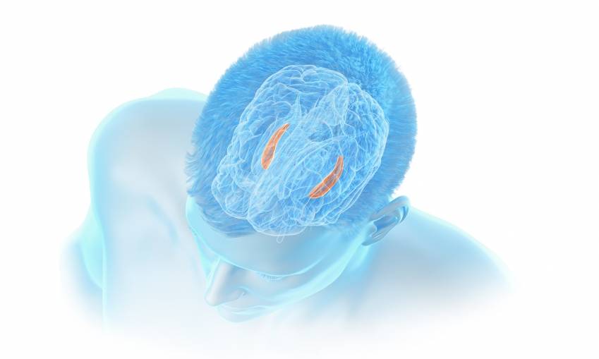 © Corlieve Therapeutics