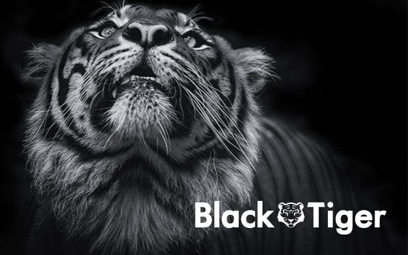 © Black Tiger © Black Tiger