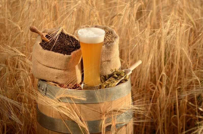 © La Malterie du Château