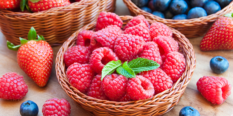 © Heintz Primeurs & Actifrais