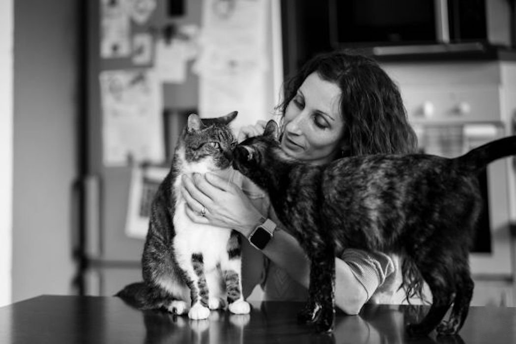 © Normandise Pet Food © Normandise Pet Food