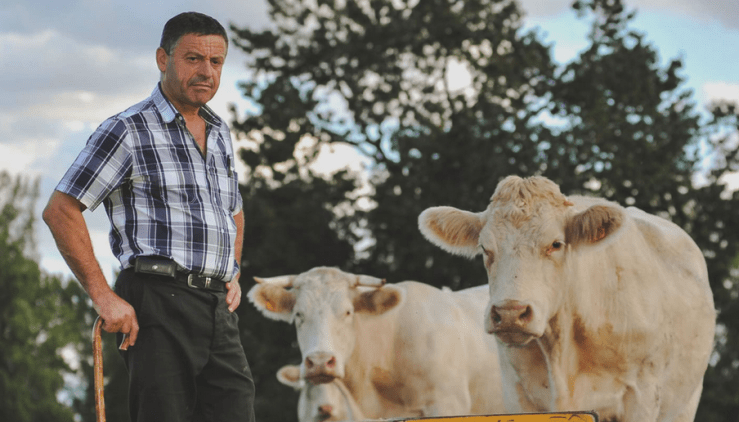 © Les Eleveurs de la Charentonne