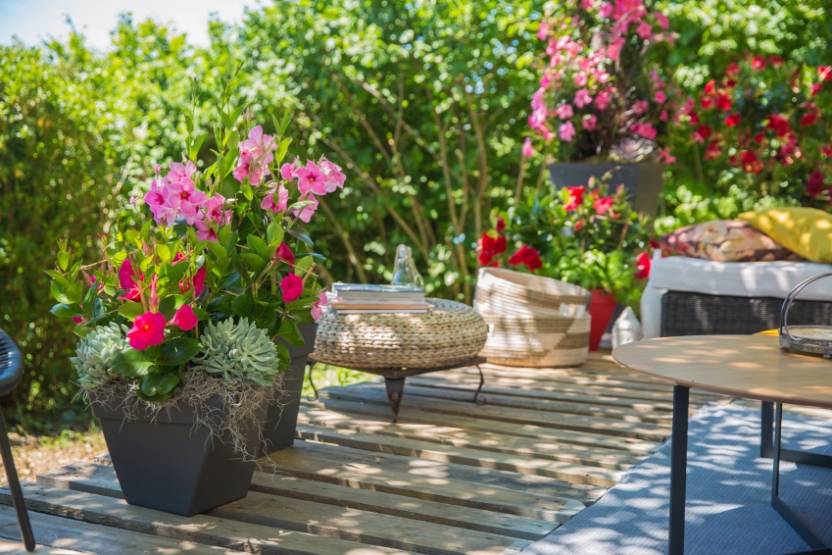 ¨© Diamantina / D.H.M. Innovation