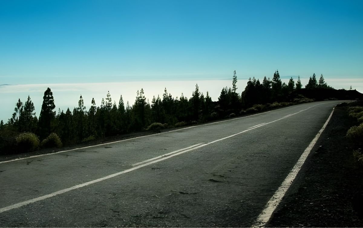 ©Moldtrans Portugal ©Moldtrans Portugal