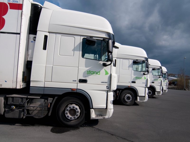 © Adobe Photo Stock