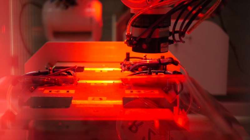 © Ephie Industries © Ephie Industries