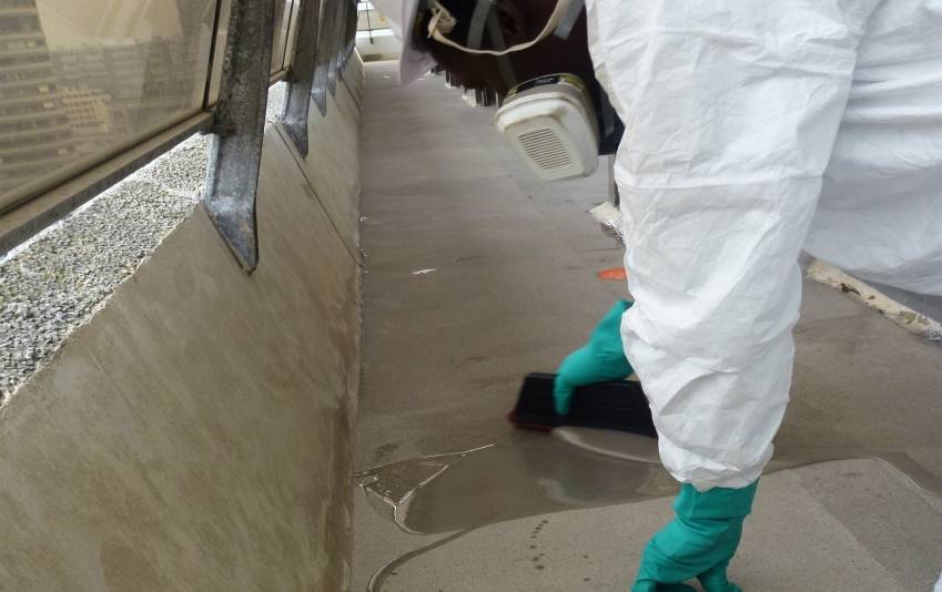 © Marteau © Marteau