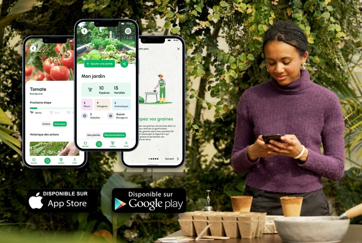 © Dr. Jonquille & Mr. Ail