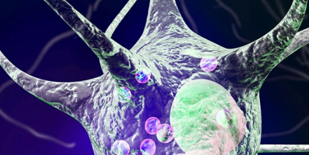 © Zionexia © Zionexia