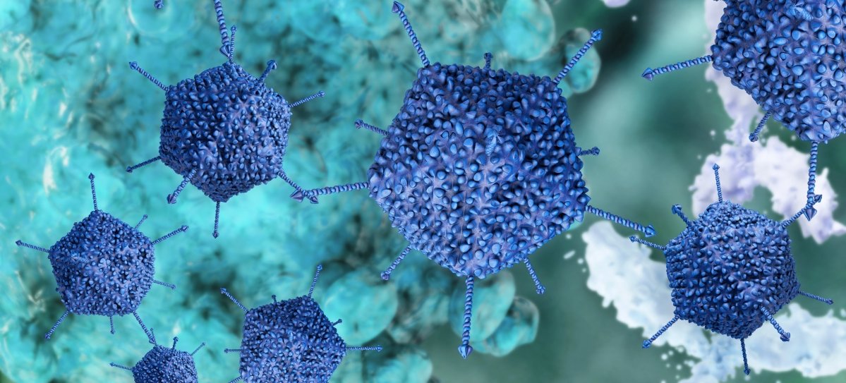 © Xylocor Therapeutics