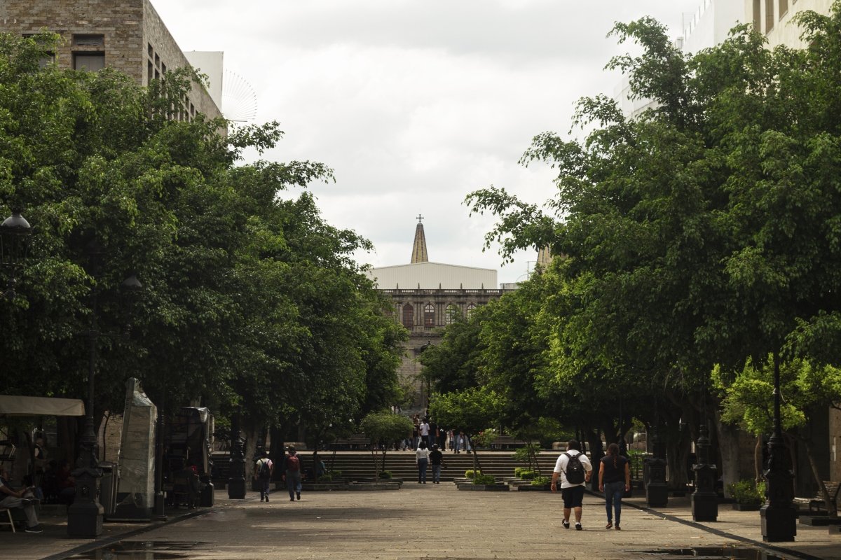 © Freepik, 2025 © Freepik, 2025