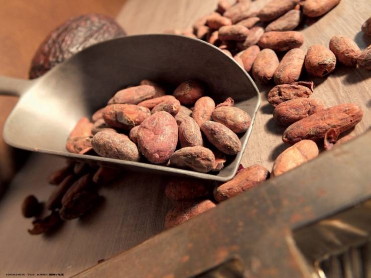 © Saveurs et Nature