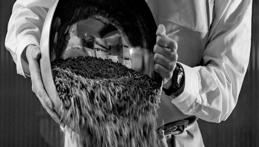 © Agronutris © Agronutris