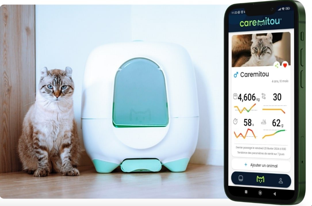 © Caremitou © Caremitou