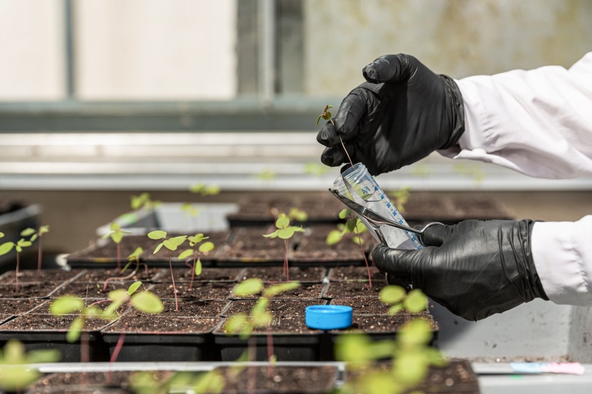 ©Micropep Technologies ©Micropep Technologies