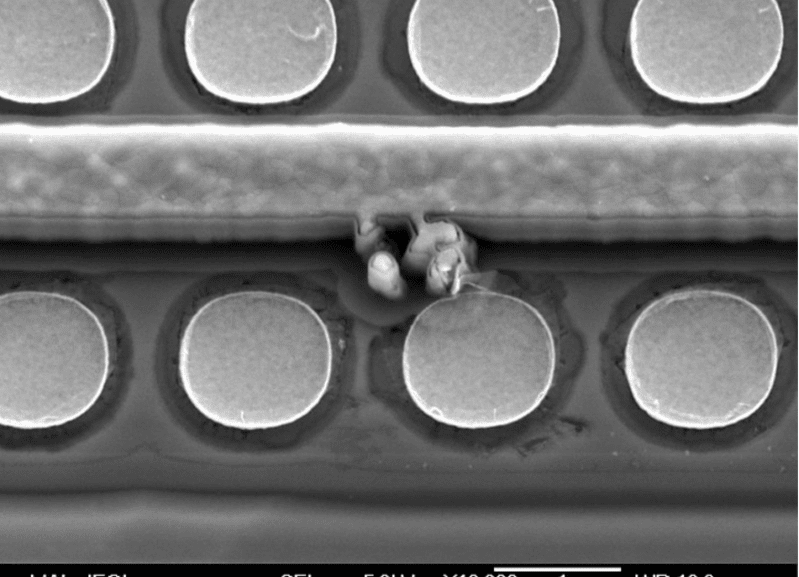 Microtech Laboratories Microtech Laboratories