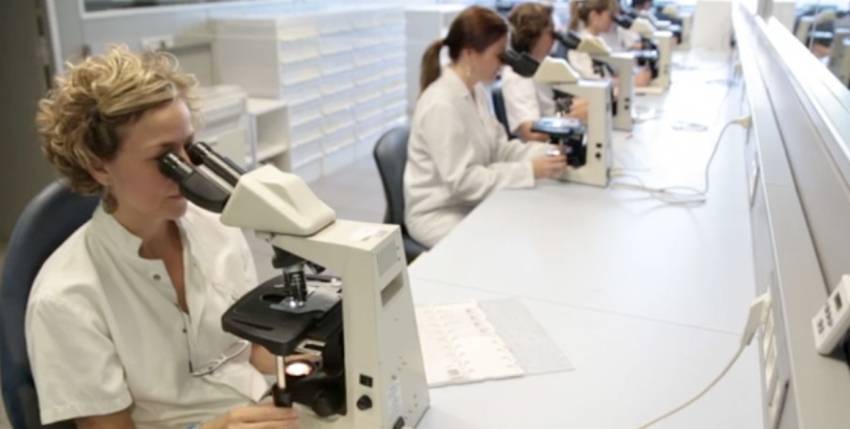 © Cerba International